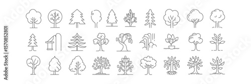 Variety Trees Illustration, Collection Of Linear Style Plants On Transparent Background