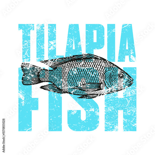 Black and white woodcut-style vector illustration of a tilapia fish in side view. The artwork features fine, clean lines and a stylized scale pattern.