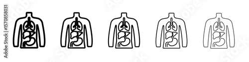 human body anatomy icon outline simple illustration isolated