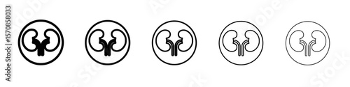 Human kidneys icon outline simple illustration isolated