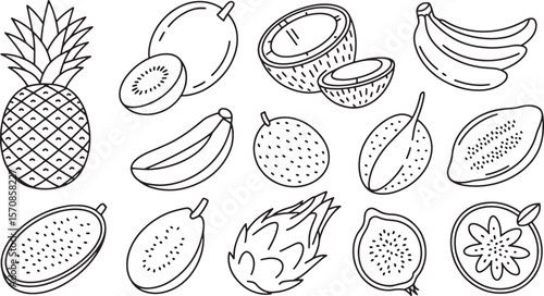 Assorted Tropical Fruits Outline Drawing Collection