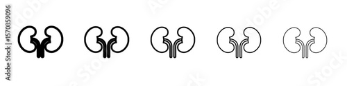 Kidneys Icon outline simple illustration isolated