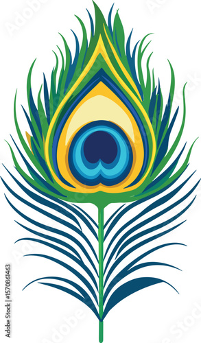 peacock feather pattern