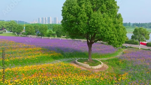 Wuhan Hua Bo Hui Scenic Spot Spring Scenery