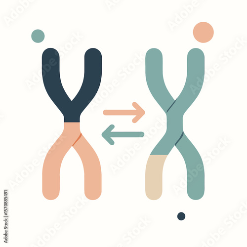 Genetic Recombination Concept With Chromosome Exchange