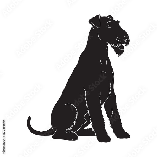 Loyal Airedale Terrier black vector graphic, reflecting its devoted and spirited temperament - Airedale Terrier silhouette - Airedale Terrier Vector - Silhouette of Airedale Terrier - dog silhouette


