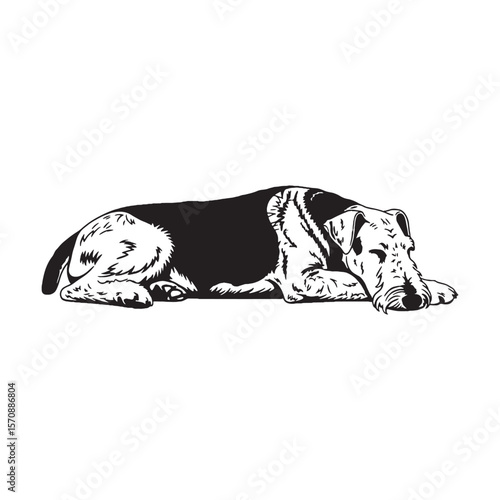 Bold Airedale Terrier digital black vector artwork, perfect for unique artistic projects - Airedale Terrier silhouette - Airedale Terrier Vector - Silhouette of Airedale Terrier - dog silhouette

