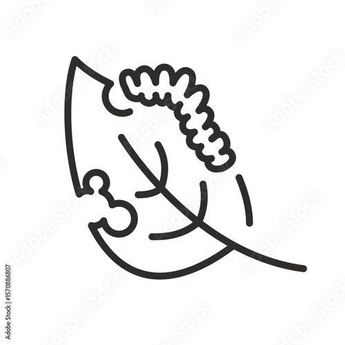 Caterpillar eating leaf icon. Linear vector illustration. Pest concept. Simple symbols. Worm in garden. Insect eats leaves.