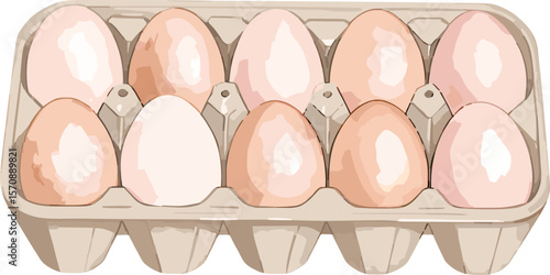 Eggs watercolor baking tools and ingredients vector illustration