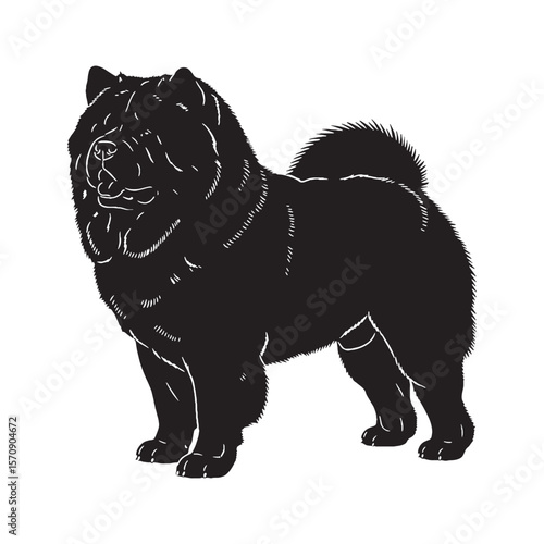 Loyal Chow Chow black vector graphic, reflecting its devoted and independent temperament - Chow Chow silhouette - Chow Chow Vector - Silhouette of Chow Chow - dog silhouette

