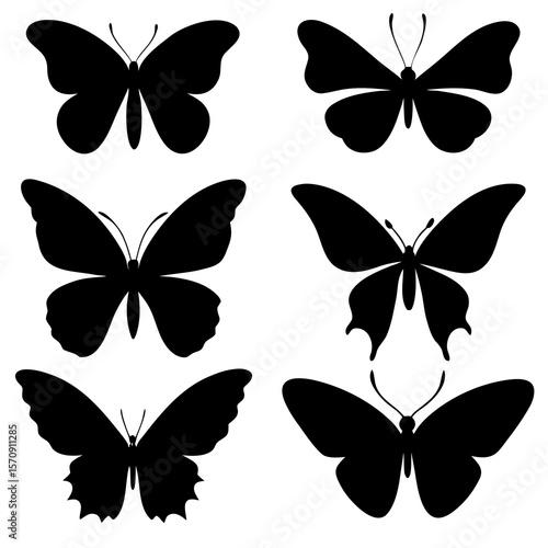 collection of butterflies