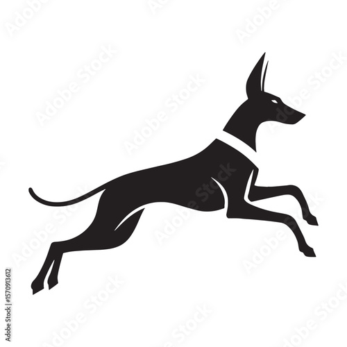 Versatile Pharaoh Hound black vector asset, a truly modern digital image for diverse uses - Pharaoh Hound silhouette - Pharaoh Hound Vector - Silhouette of Pharaoh Hound - dog silhouette


