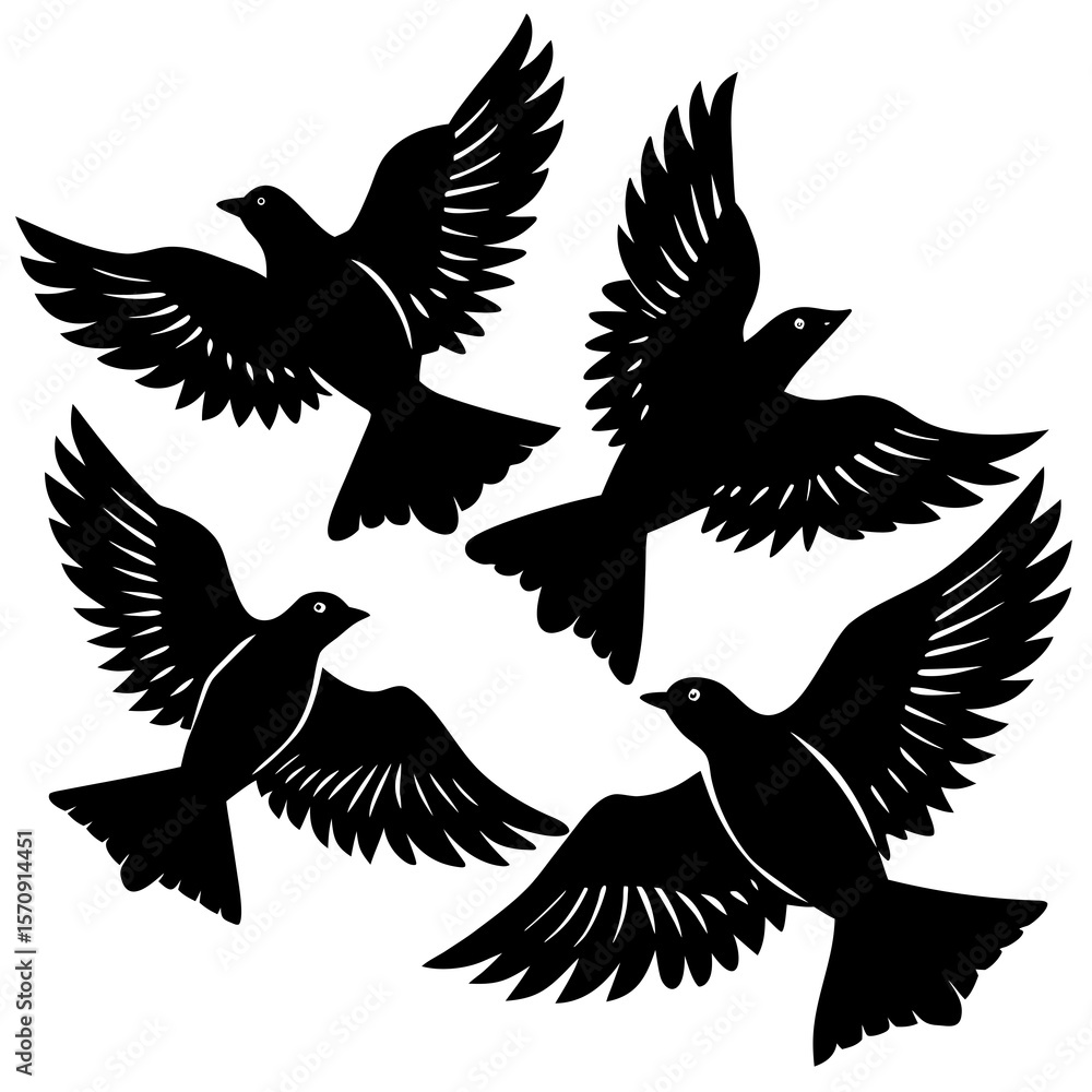 Fototapeta premium silhouette of a bird