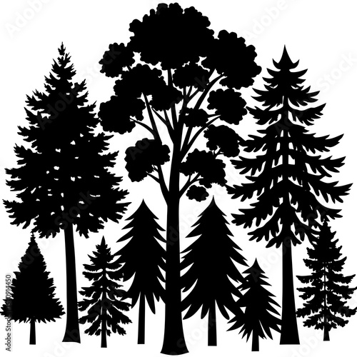 silhouettes of trees