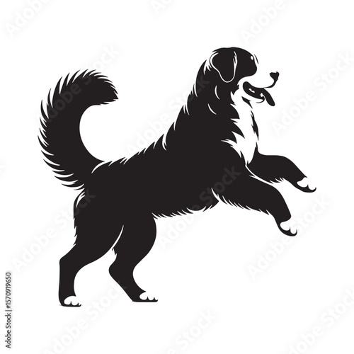 Adaptable Bernese Mountain Dog digital black design, highly suitable for many different uses - Bernese Mountain Dog silhouette - Bernese Mountain Dog Vector - Silhouette of Bernese Mountain Dog

