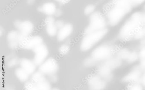 Shadow of leaves tree plant overlay on white wall. Sunlight effect shadow on the wall. Minimal blurred backdrop backgrounds. Summer tropical surface background.