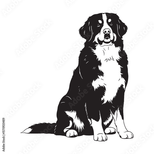 Versatile Bernese Mountain Dog black vector asset, a truly modern digital image for diverse uses - Bernese Mountain Dog silhouette - Bernese Mountain Dog Vector - Silhouette of Bernese Mountain Dog

