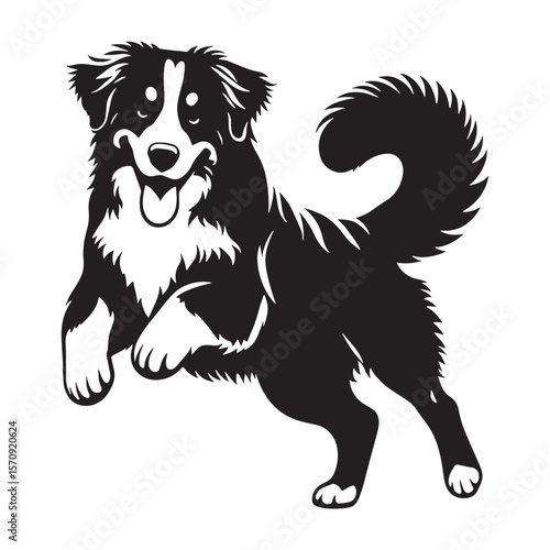 Gentle Bernese Mountain Dog canine digital black silhouette, showcasing its distinctive and tricolor form - Bernese Mountain Dog silhouette - Bernese Mountain Dog Vector - Silhouette of Bernese Mounta