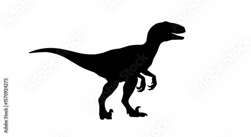 Dinosaur Silhouette on White Background