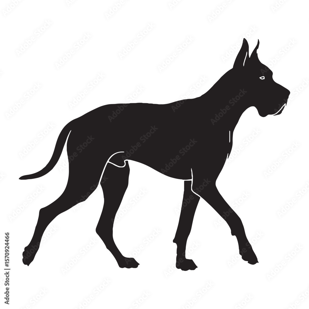 Fototapeta premium Devoted Great Dane digital black silhouette, rendered perfectly for clarity and appeal - Great Dane silhouette - Great Dane Vector - Silhouette of Great Dane - dog silhouette