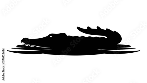 Black leather boot with a crocodile isolated on white background for ice skating