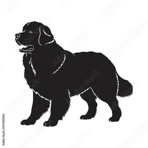 Standard Newfoundland dog digital black vector, a classic and easy-to-use option for adaptation - Newfoundland dog silhouette - Newfoundland dog Vector - Silhouette of Newfoundland dog

