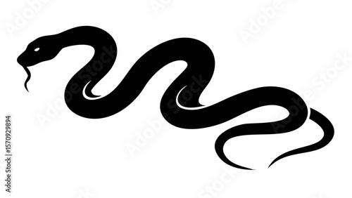 Black and white snake vector illustration of a wild reptile, an isolated python or serpent