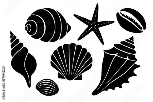 Assorted black silhouettes of seashells and starfish on transparent background  
