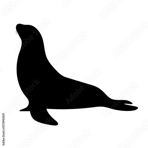 Black silhouette of a sea lion perched on its flippers isolated