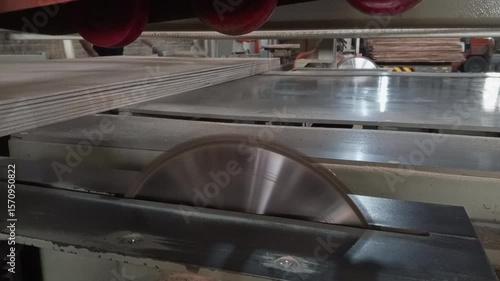 Machine Sawing Plywood in Woodworking Factory
