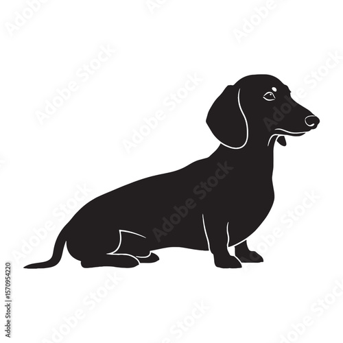 Simple Dachshund digital black silhouette, designed for easy integration into various layouts - Dachshund silhouette - Dachshund Vector - Silhouette of Dachshund - dog silhouette

