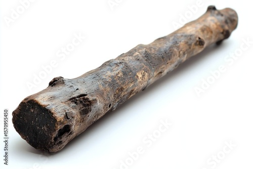 Rough, worn log segment