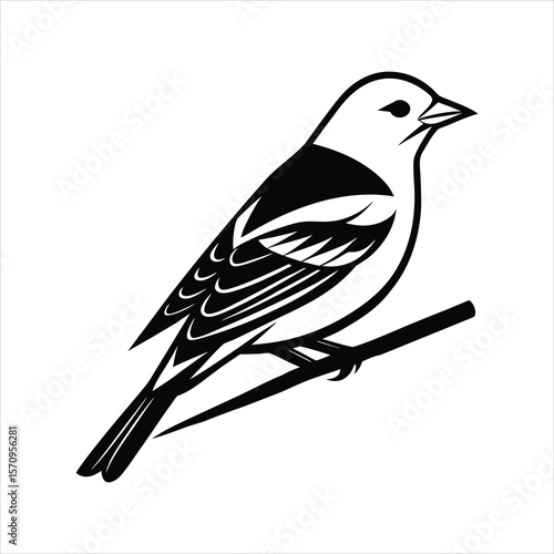 Western Tanager on Abstract Branch