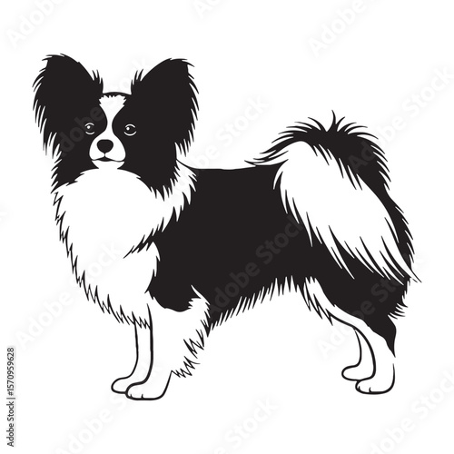 Authentic Papillon canine digital black visual, accurately representing this beloved breed - Papillon silhouette - Papillon Vector - Silhouette of Papillon - dog vector


