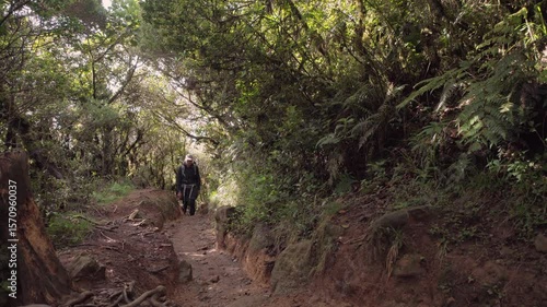hiker in rainforest near mount pulag, Philippines 