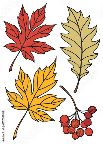 set of autumn leaves