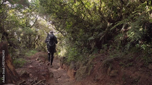 hiker in rainforest near mount pulag, Philippines 