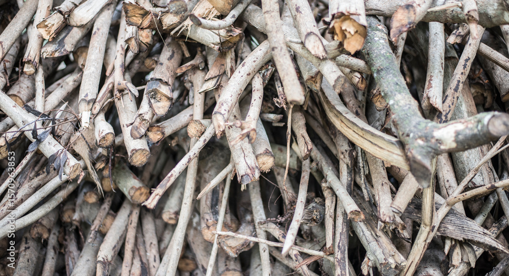 Pile of dry twigs in the garden. Selective focus. Pile of dry twigs in the garden. Selective focus.