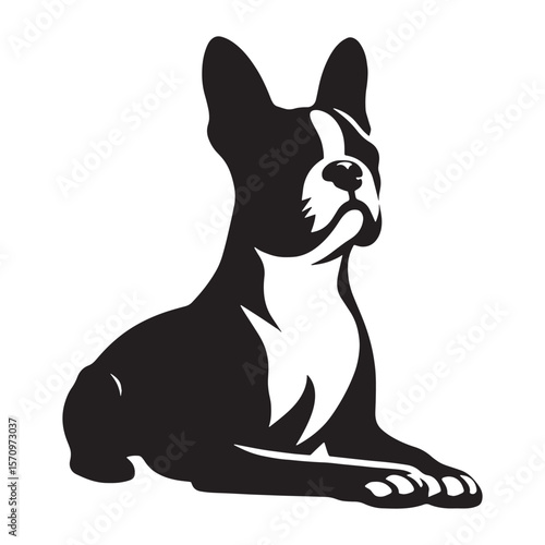 Expressive Boston Terrier digital black silhouette, embodying its unique and appealing features - Boston Terrier silhouette - Boston Terrier Vector - Silhouette of Boston Terrier - dog silhouette

