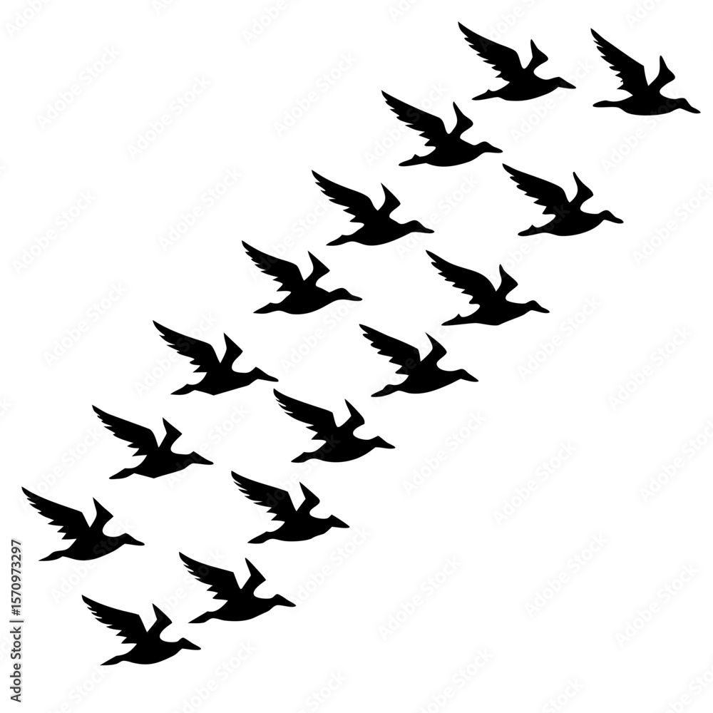 Fototapeta premium Birds Flying in Formation Silhouette