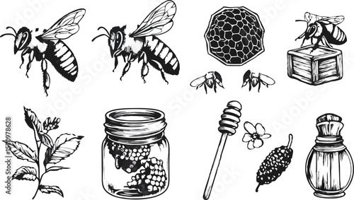 Black and White Honeycomb and Bee Illustration with Various Honey Items
