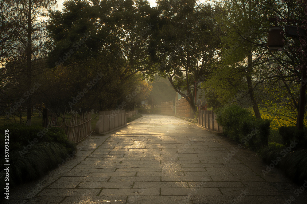 Obraz premium Gravel paths and mist in the middle of a secluded wood