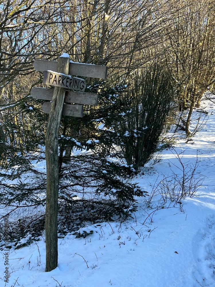 Naklejka premium wooden road sign in the winter forest