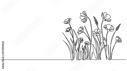 animated continuous single line drawing of wildflowers, line art animation