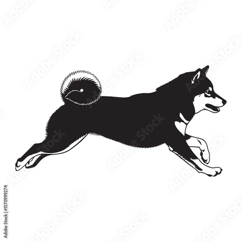 Presenting a classic Shiba Inu digital black profile, with clean edges - Shiba Inu silhouette - Shiba Inu Vector - Silhouette of Shiba Inu - dog vector

