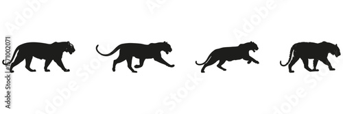 Wild Cat Silhouettes In Motion Set. Wildlife Observation And Animal Behavior Symbol Collection. Environmental And Educational Use. Isolated Vector Illustration