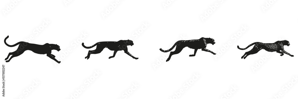 Fototapeta premium Cheetah Running Silhouette Set. Wildlife Speed And Motion Symbol Collection. Environmental And Educational Use. Isolated Vector Illustration