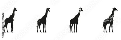 Giraffe Silhouettes In Icon Set. Wildlife Observation And Nature Conservation Symbol Collection. Environmental And Educational Use. Isolated Vector Illustration