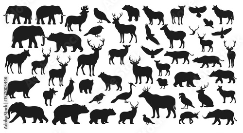 Wildlife silhouettes show a diverse animal collection, featuring birds, elephants, bears, deer, and other creatures in a stark black design.