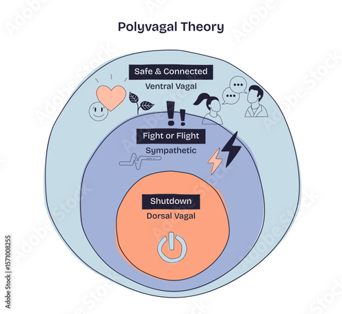 Polyvagal Theory shows three nervous system states, Safe and Connected, Fight or Flight, and Shutdown, using icons and layered circles. Doodle style diagram